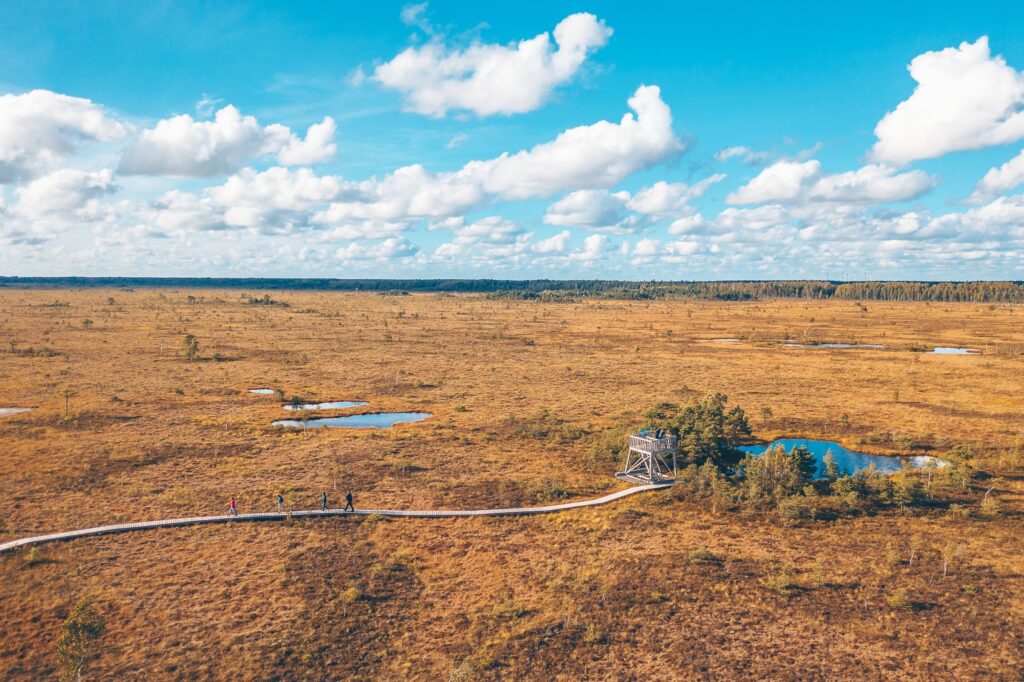 Nemuno delta. Andriaus Aleksandravičiaus nuotr.