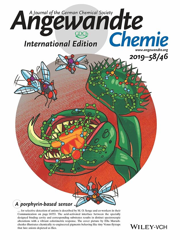Mokslininkų parengto straipsnio viršelis prestižiniame chemijos žurnale „Angewandte Chemie“