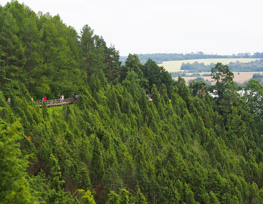 Kadagių slėnis. Helenos Jagello („Some Agency“) nuotr.