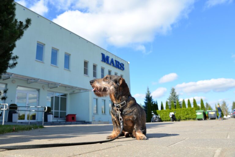 Tūkstančiai gyventojų renkasi regionus – kodėl Vilnius praranda žavesį?